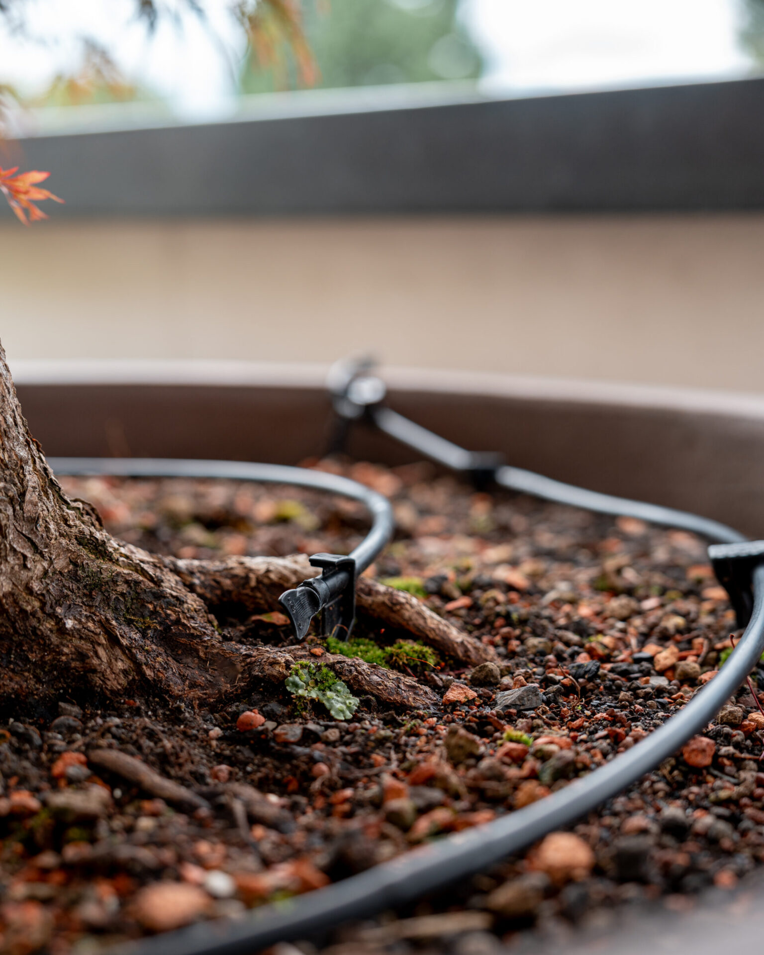 240709 gum gartenkunden andres 06