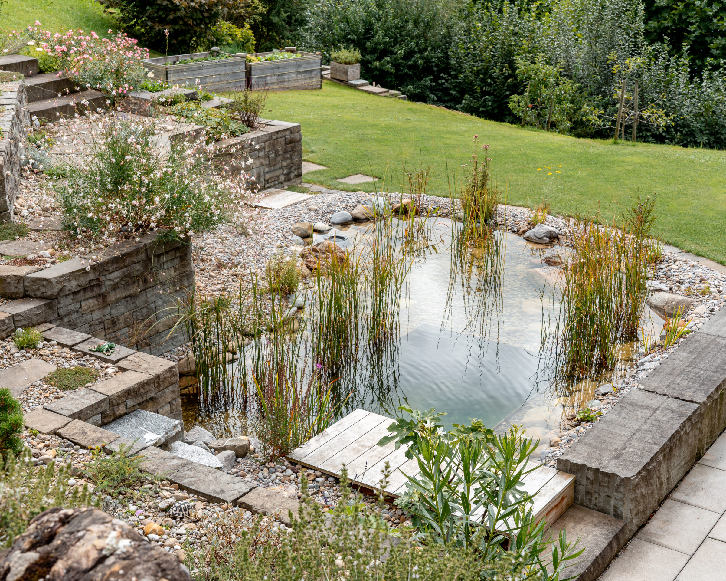 250903 gum gartenkunden scheu 25