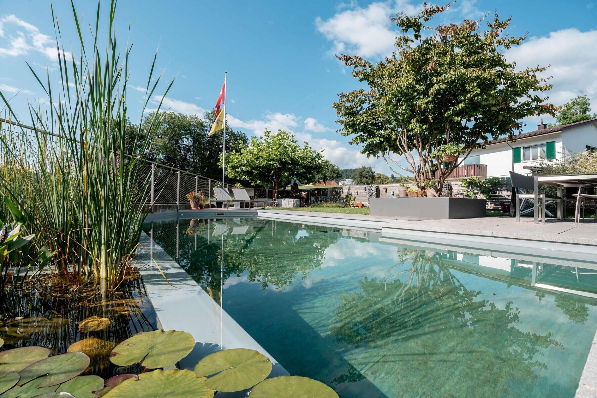 Biopool mit einer Parrotie als Schattenspender