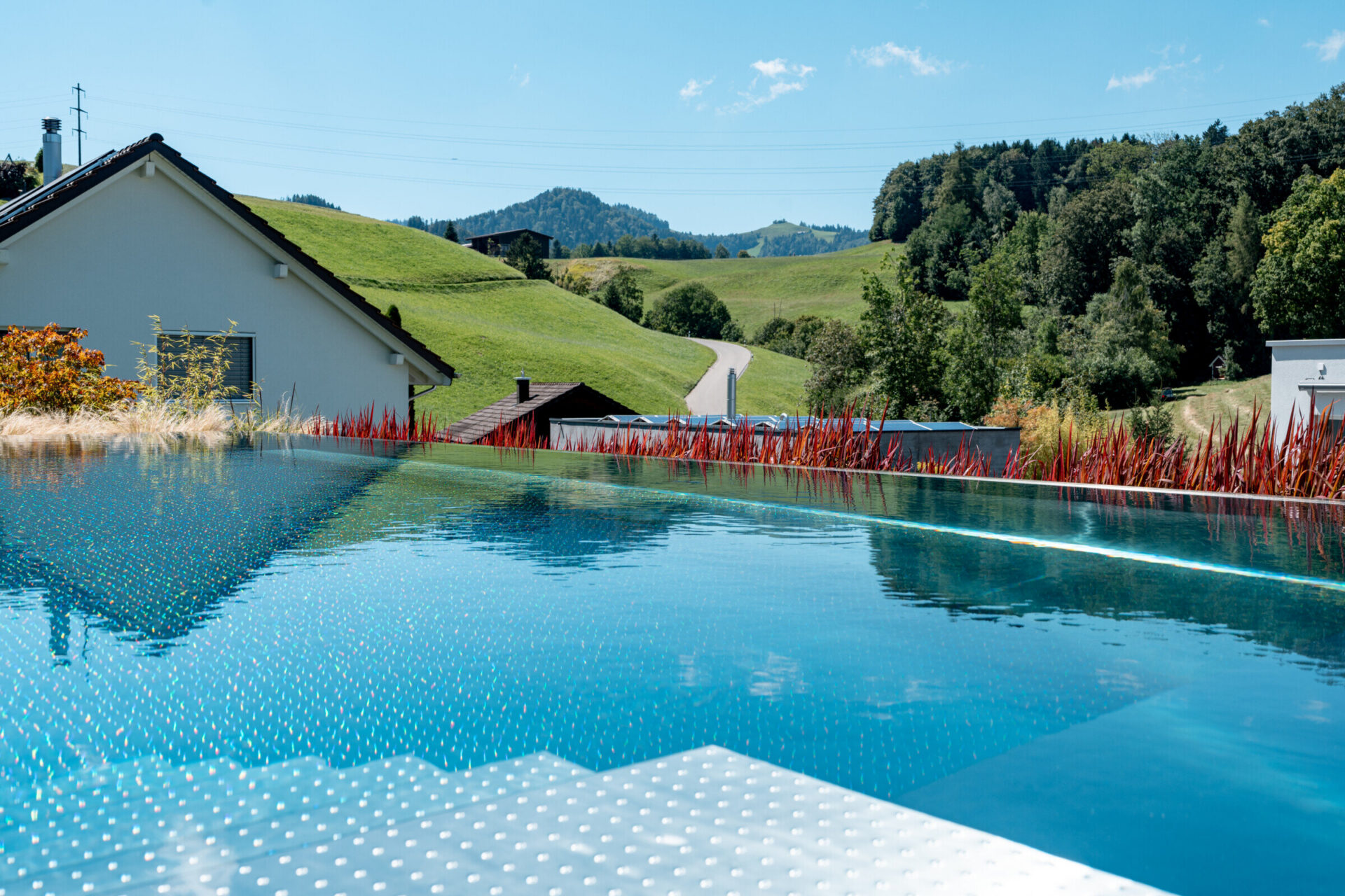 dsc00912infinity chromstahlpool wittwer gaerten und mehr