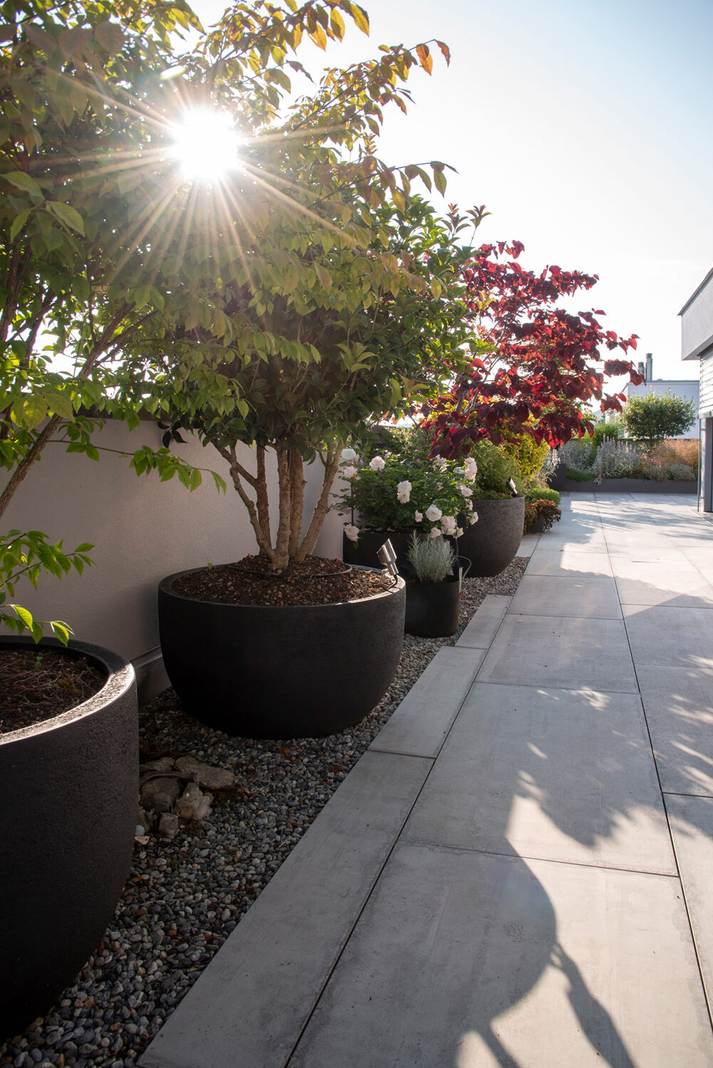 Gepflegte Terrasse